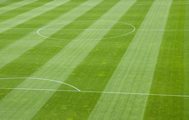 Soccer Field Grass