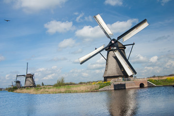 beautiful windmills
