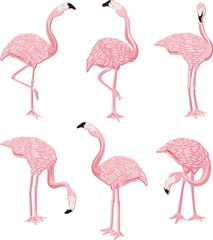 Fototapeta premium Flamingos Pink