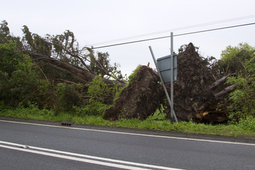 Roadside damage after the storm