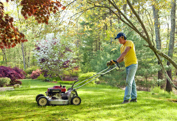 Mowing lawn during the spring