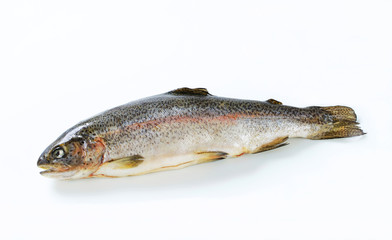 Fresh trout