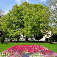 Kołobrzeg wiosną - park przy poczcie