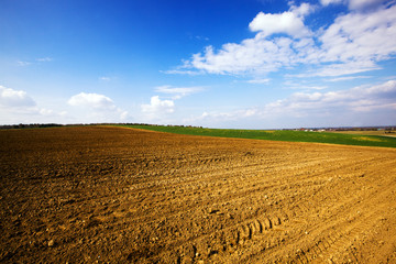 Fototapeta na wymiar agriculture