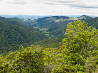 Naklejka premium Tararua Range on North Island of New Zealand
