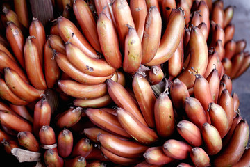 Red bananas