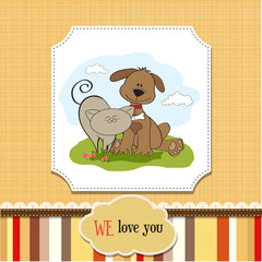 dog & cat's friendship