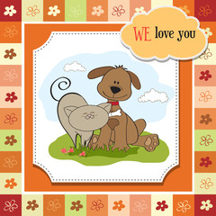 dog & cat's friendship