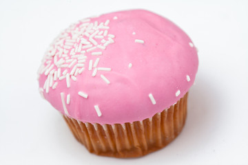 Pink cupcake