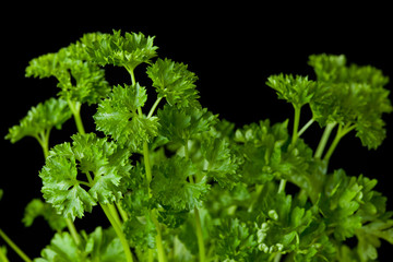 Bunch of parsley