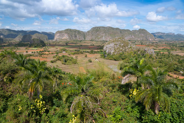 Vallée de Viñales, patrimoine mondial UNESCO, Cuba - 41377799