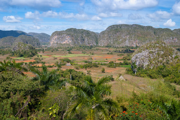 Fototapeta na wymiar Vallée de Viñales, patrimoine mondial UNESCO, Cuba (2)