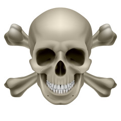 Realistic skull and bones