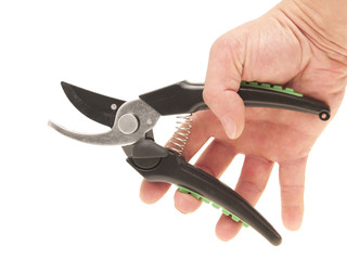 Garden pruner in a man's hand.