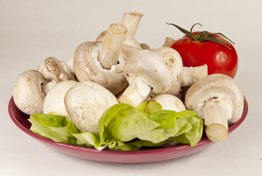 Fresh mushrooms and a tomato