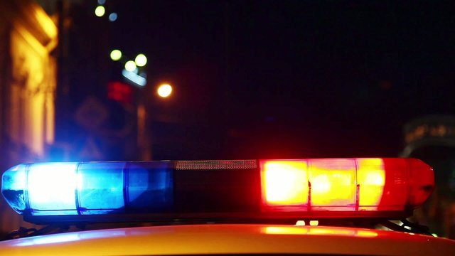 Police emergency lights (with sound)