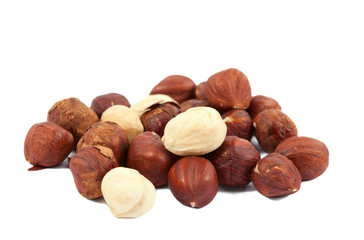 hazelnuts isolated