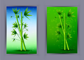 Vector creative bamboo poster. Eps10