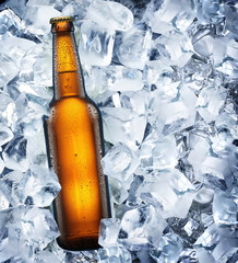 La bouteille de bière est dans la glace