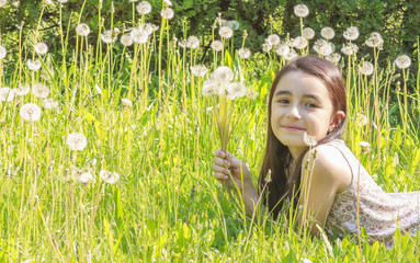 Little Girl Busy Blowing Dandelion Seeds In the Park