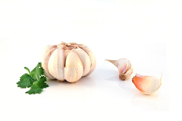 Garlic isolated on white background