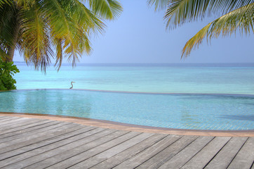 Luxury tropical Infinity Pool on the Maldives