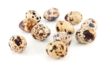 quail eggs isolated on white background close up