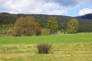 Fototapeta premium Green Landscape from the summer Mountains Sumava in southern Czech 