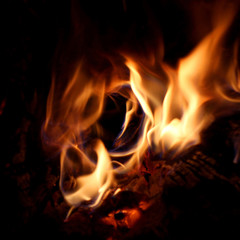 Fototapeta premium Circular Fire in hollow log