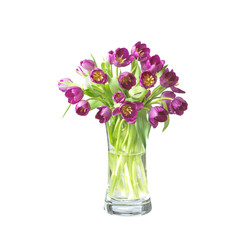 Naklejka na ściany i meble beautifil tulips flowers in a vase isolated on white with clipp