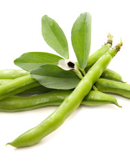 Baccelli di fave con fiore