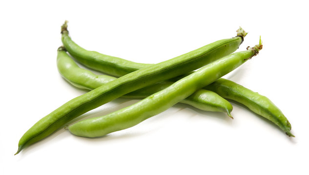Baccelli di fave
