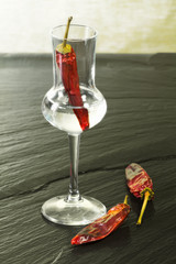 red hot chili pepper grappa glass on ardesia