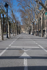 Carril bici en Barcelona