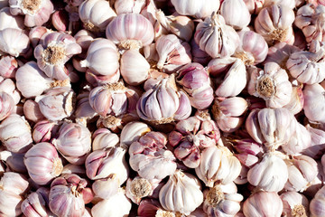 garlic pattern texture in food market