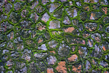 green moss wall