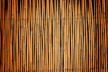 bamboo fence