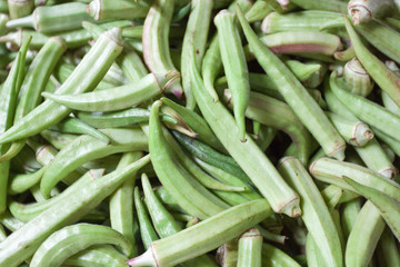 lalo, légume, Abelmoschus esculentus