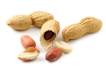 groundnut