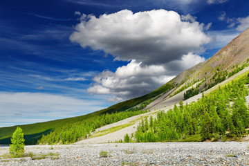 Mountain landscape with forest and blue sky