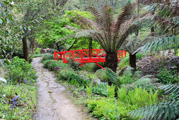 Sub Tropical Garden