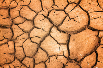 Dry soil in arid areas