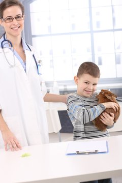 Smiling kid with pet rabbit at veterinary