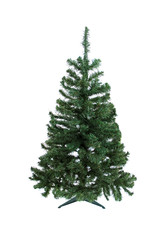 Christmas pine tree for decoration