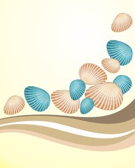 Summer banner with shells