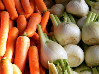 Tel Aviv Carrots and Fenchel 2011