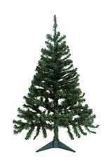 Christmas pine tree for decoration