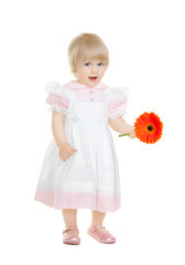 Cute baby with flower gerbera isolated on white