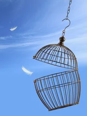 Photo sur Plexiglas Oiseaux en cages Notion de liberté. S& 39 échapper de la cage