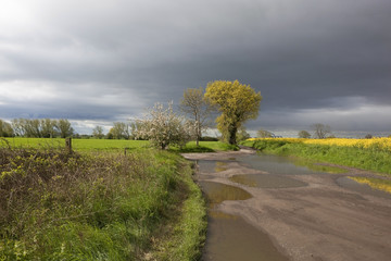 rainy countryside